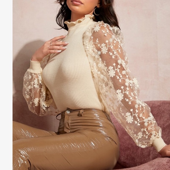 Cozy Frilled Neck Sheer Mesh Long Sleeve Sweater Top - Picture 3 of 8